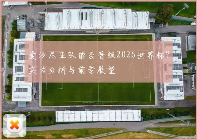 爱沙尼亚队能否晋级2026世界杯？实力分析与前景展望