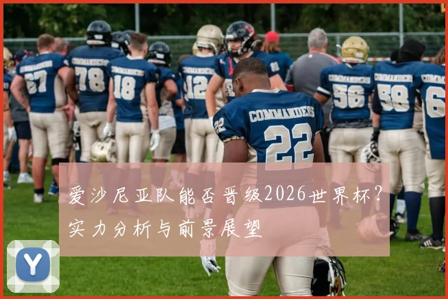 爱沙尼亚队能否晋级2026世界杯?实力分析与前景展望